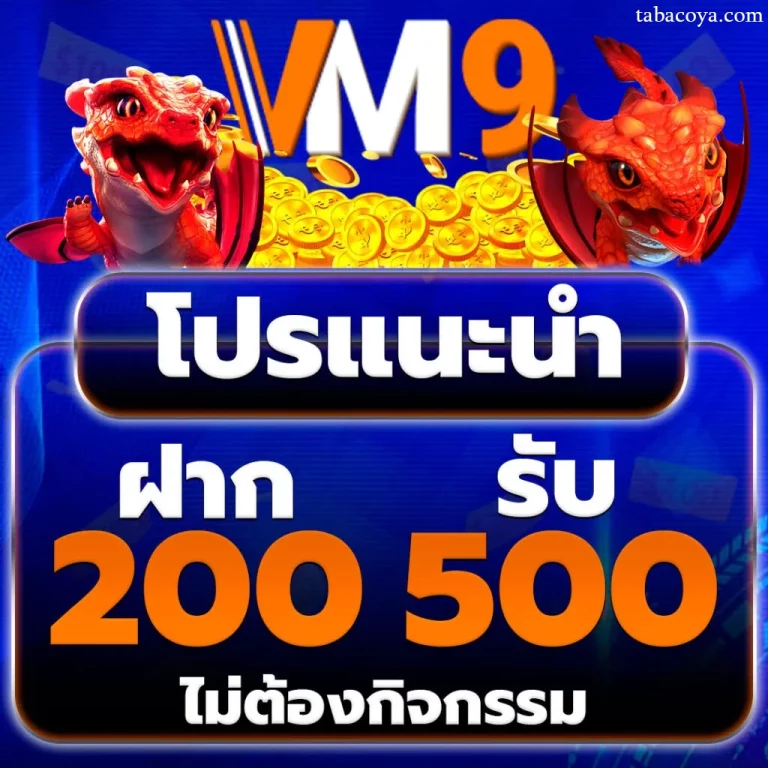 เว็บvm9