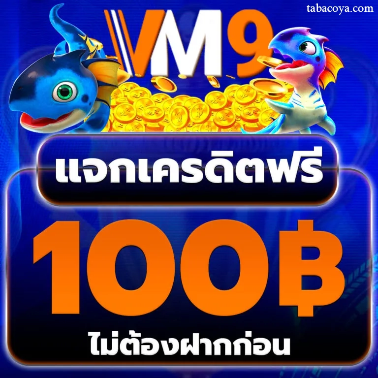 vm9 ทางเข้า